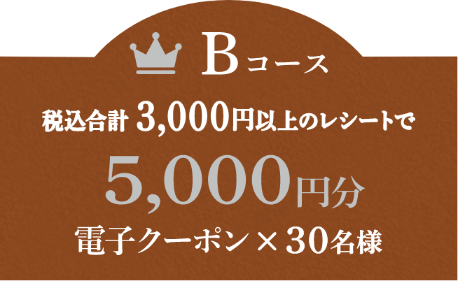 Bコース 税込合計3,000円以上のレシートで5,000円分電子クーポン × 30名様